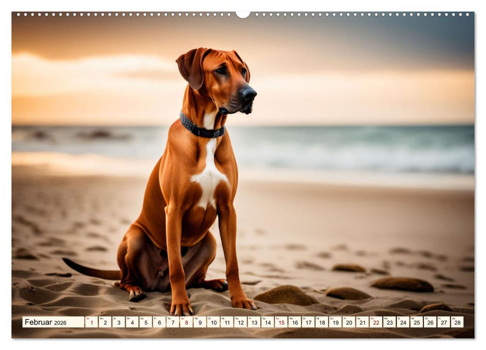 Rhodesian Ridgeback - Athlet mit Rückenkamm (CALVENDO Premium Wandkalender 2026)