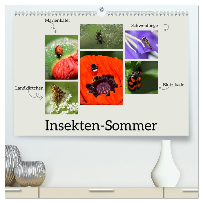 Insekten-Sommer (CALVENDO Premium Wandkalender 2026)
