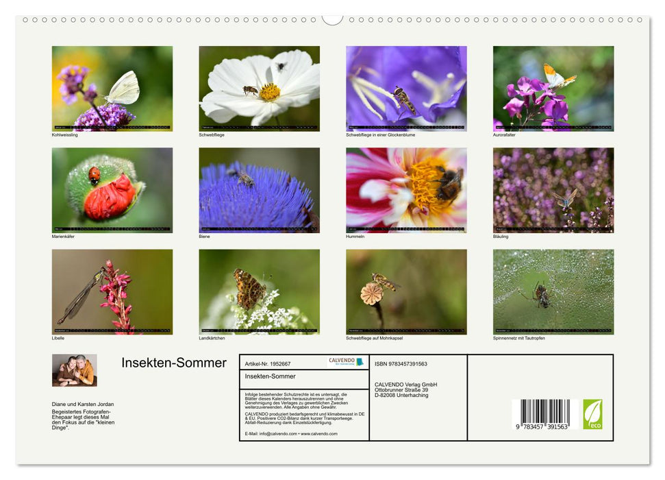 Insekten-Sommer (CALVENDO Premium Wandkalender 2026)