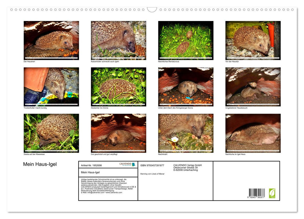 Mein Haus-Igel (CALVENDO Wandkalender 2026)