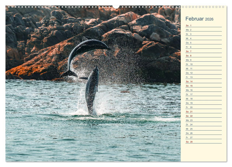 Oman - Unvergessliche Momente (CALVENDO Wandkalender 2026)