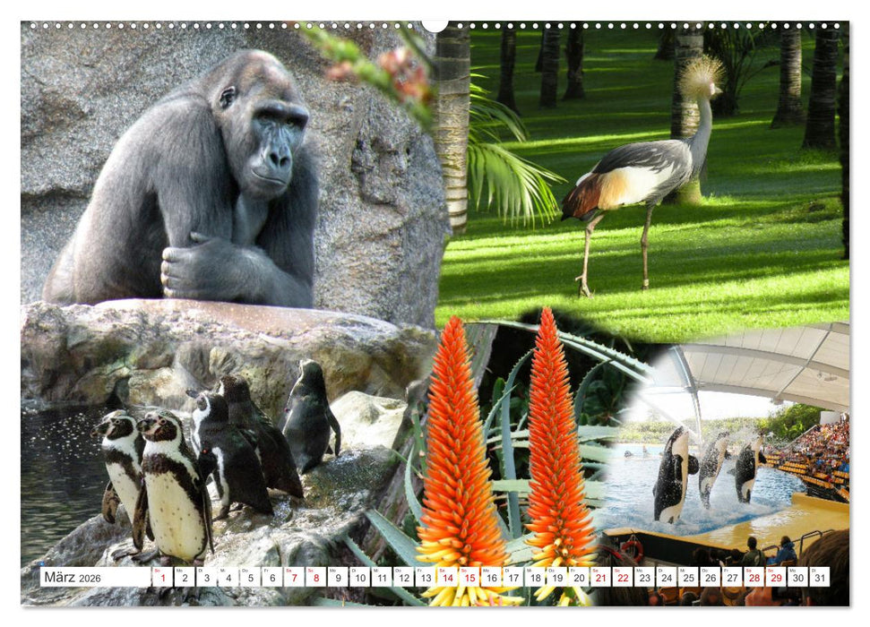 Puerto de la Cruz. Teneriffa Urlaub. (CALVENDO Premium Wandkalender 2026)