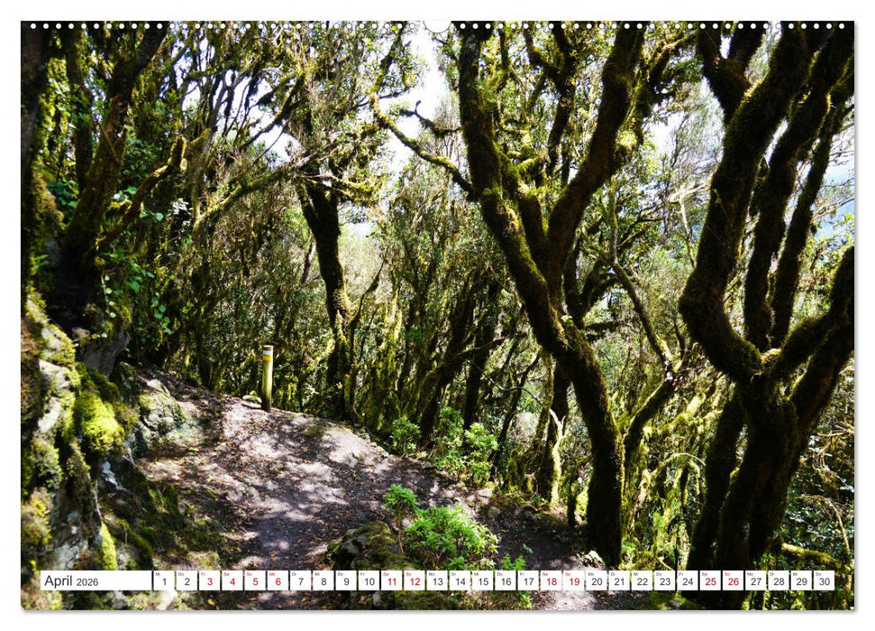 Puerto de la Cruz. Teneriffa Urlaub. (CALVENDO Premium Wandkalender 2026)