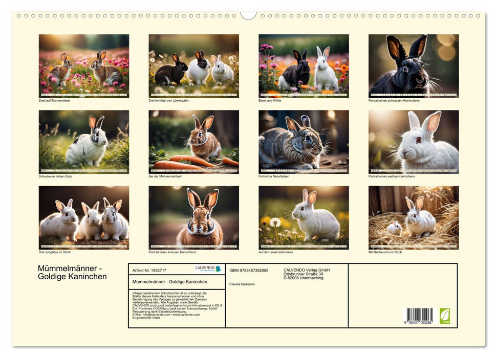 Mümmelmänner - Goldige Kaninchen (CALVENDO Wandkalender 2026)