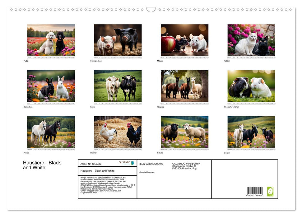Haustiere - Black and White (CALVENDO Wandkalender 2026)