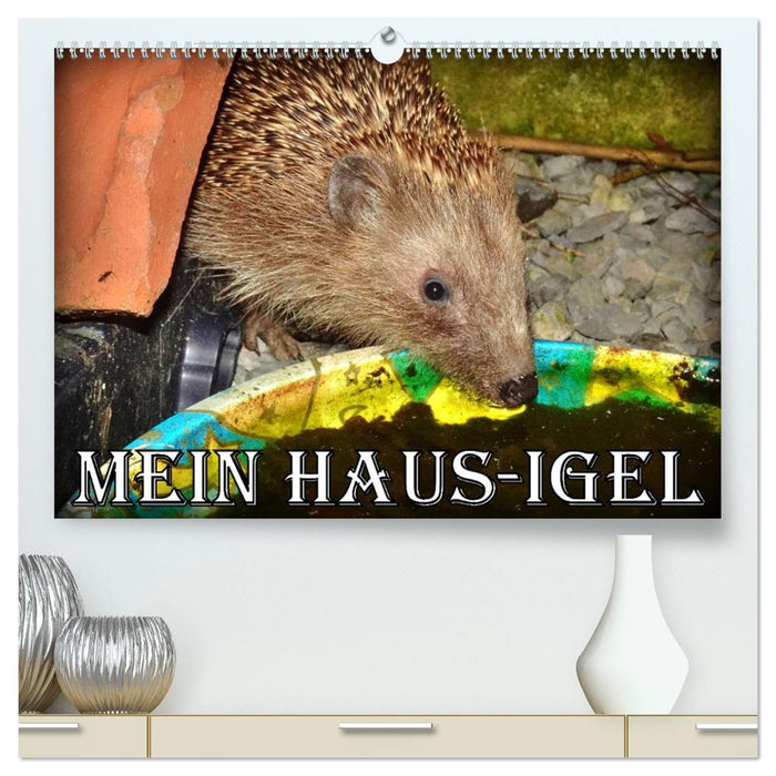 Mein Haus-Igel (CALVENDO Premium Wandkalender 2026)