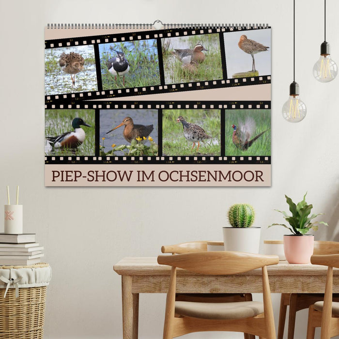 PIEP-SHOW im Ochsenmoor (CALVENDO Wandkalender 2026)