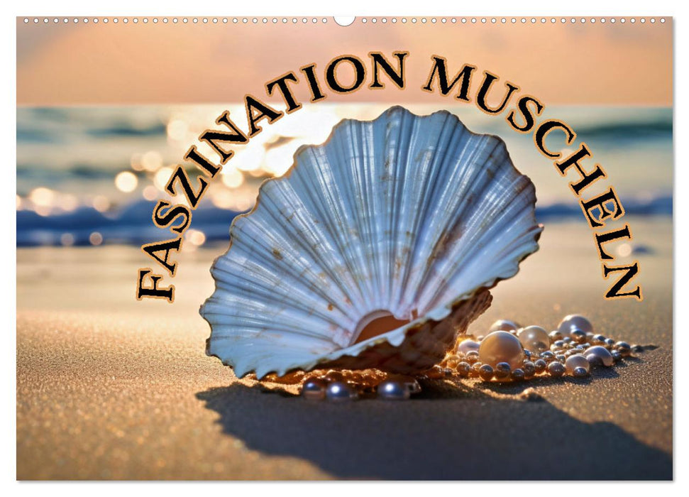 Faszination Muscheln (CALVENDO Wandkalender 2026)