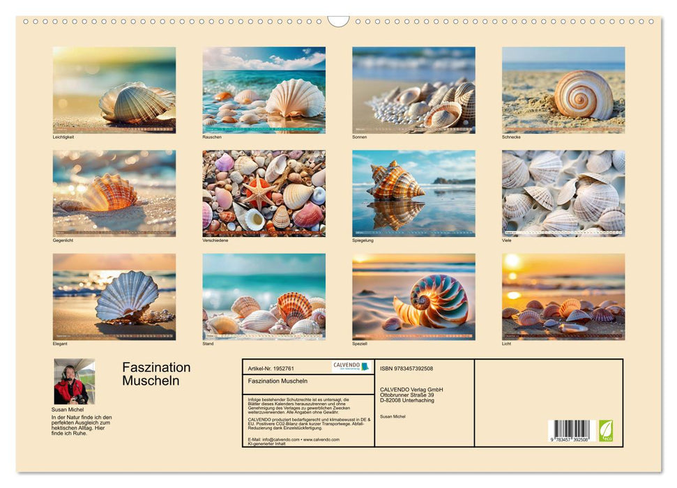 Faszination Muscheln (CALVENDO Wandkalender 2026)