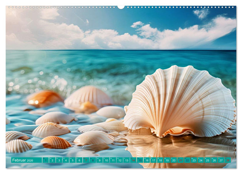 Faszination Muscheln (CALVENDO Wandkalender 2026)