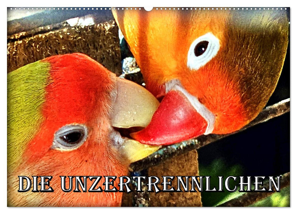 Die Unzertrennlichen (CALVENDO Wandkalender 2026)