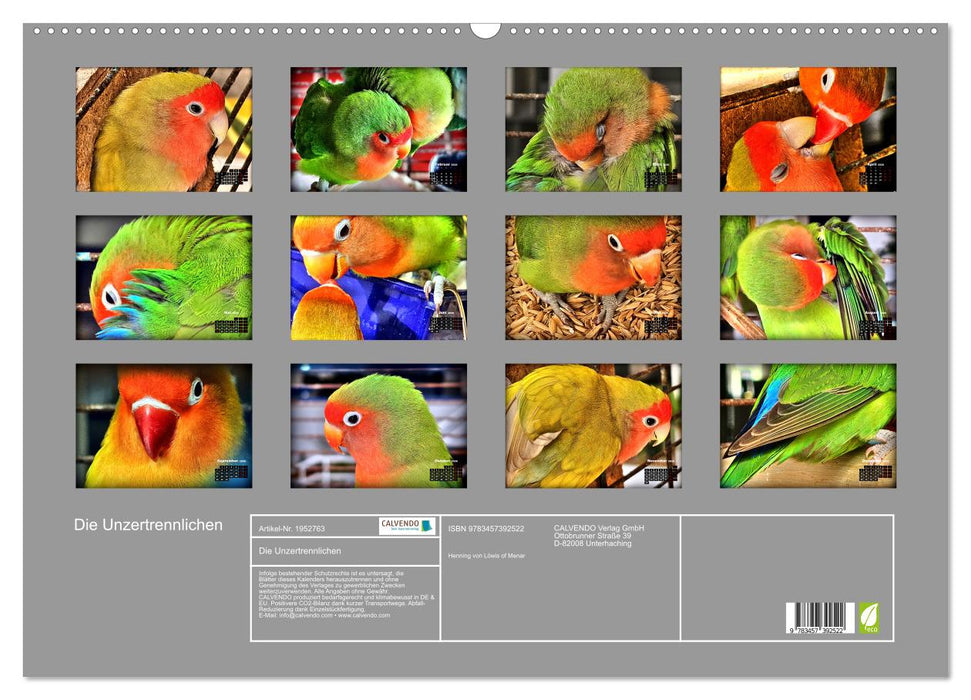 Die Unzertrennlichen (CALVENDO Wandkalender 2026)