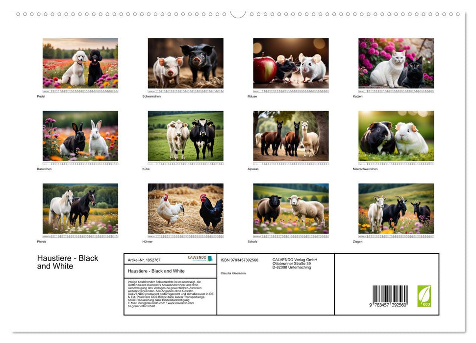 Haustiere - Black and White (CALVENDO Premium Wandkalender 2026)