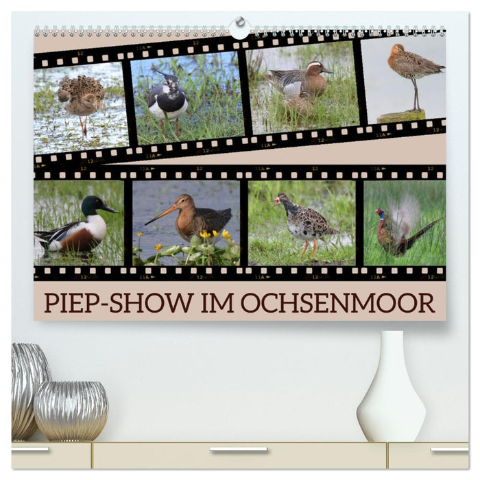 PIEP-SHOW im Ochsenmoor (CALVENDO Premium Wandkalender 2026)