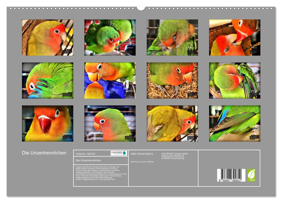 Die Unzertrennlichen (CALVENDO Premium Wandkalender 2026)