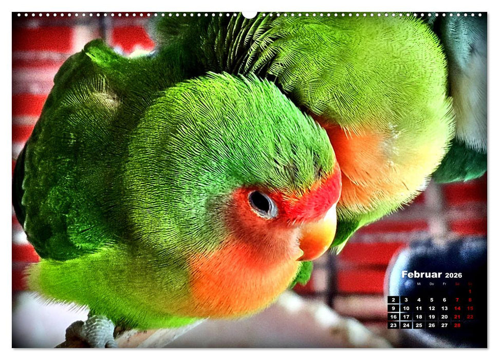 Die Unzertrennlichen (CALVENDO Premium Wandkalender 2026)