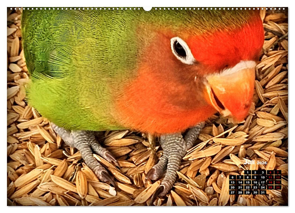 Die Unzertrennlichen (CALVENDO Premium Wandkalender 2026)