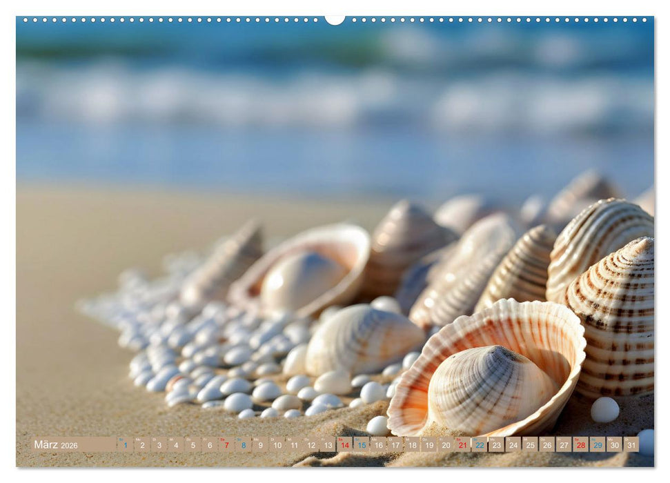 Faszination Muscheln (CALVENDO Premium Wandkalender 2026)