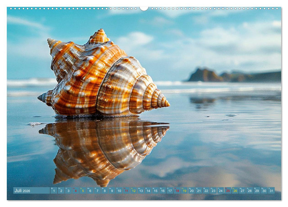 Faszination Muscheln (CALVENDO Premium Wandkalender 2026)