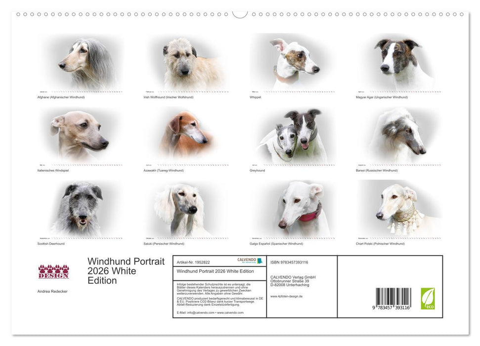 Windhund Portrait 2026 White Edition (CALVENDO Premium Wandkalender 2026)