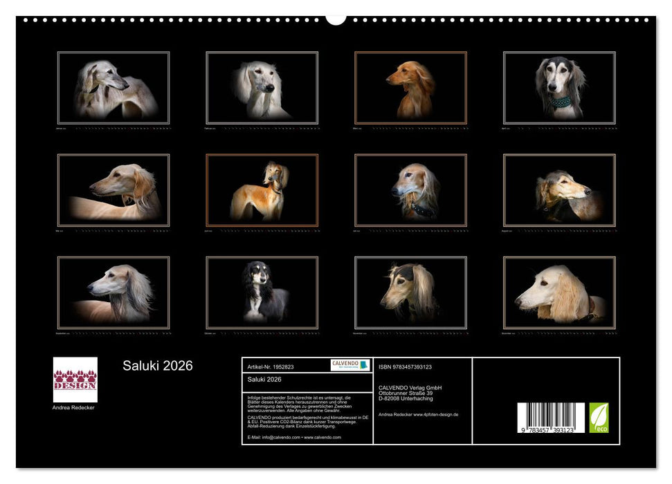 Saluki 2026 (CALVENDO Premium Wandkalender 2026)