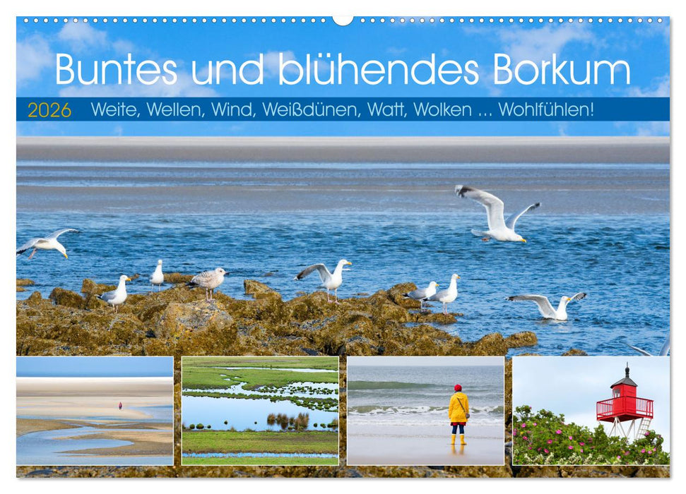 Buntes und blühendes Borkum (CALVENDO Wandkalender 2026)
