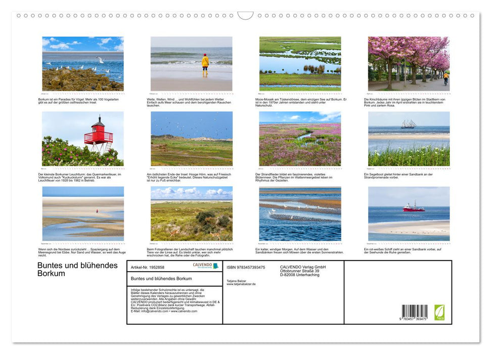 Buntes und blühendes Borkum (CALVENDO Wandkalender 2026)
