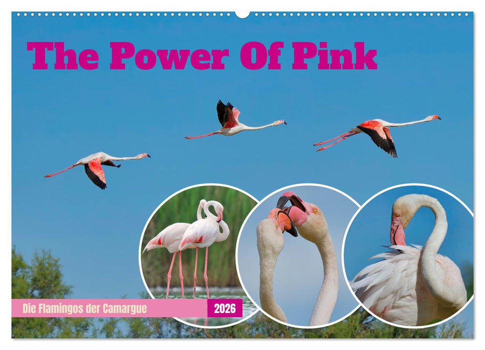 The Power Of Pink (CALVENDO Wandkalender 2026)