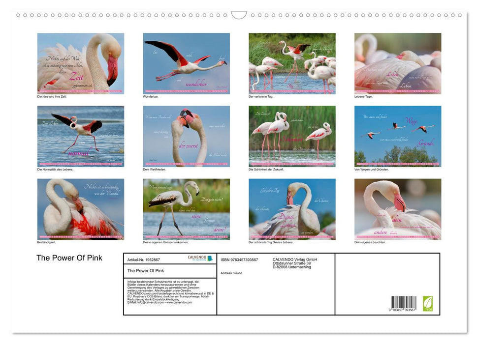 The Power Of Pink (CALVENDO Wandkalender 2026)