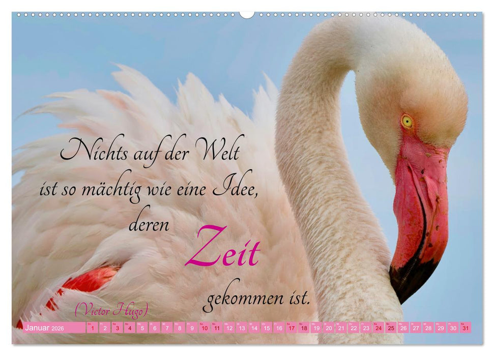 The Power Of Pink (CALVENDO Wandkalender 2026)