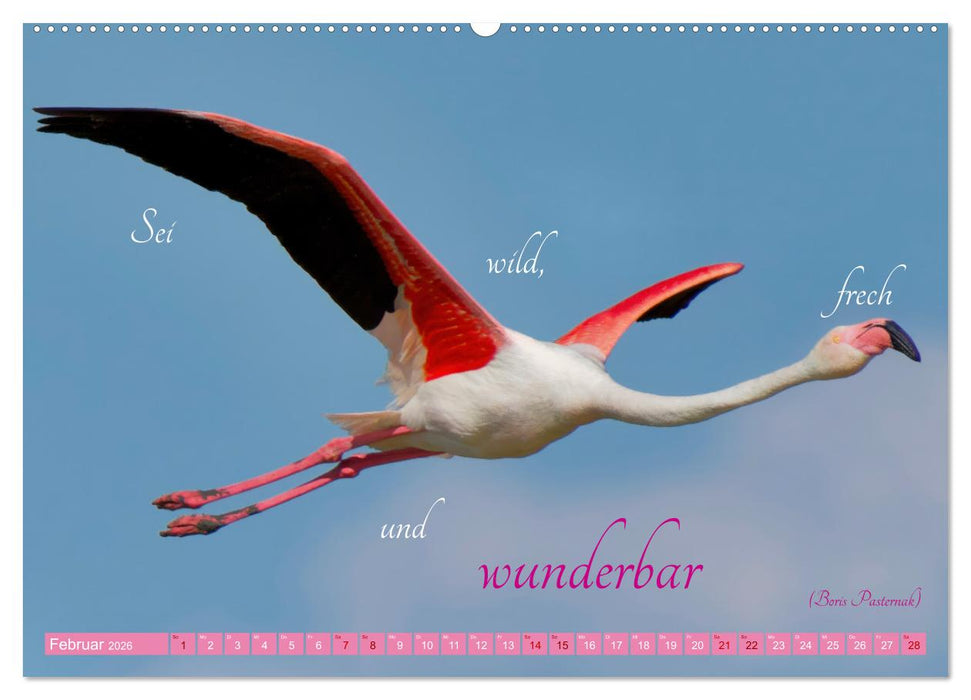 The Power Of Pink (CALVENDO Wandkalender 2026)