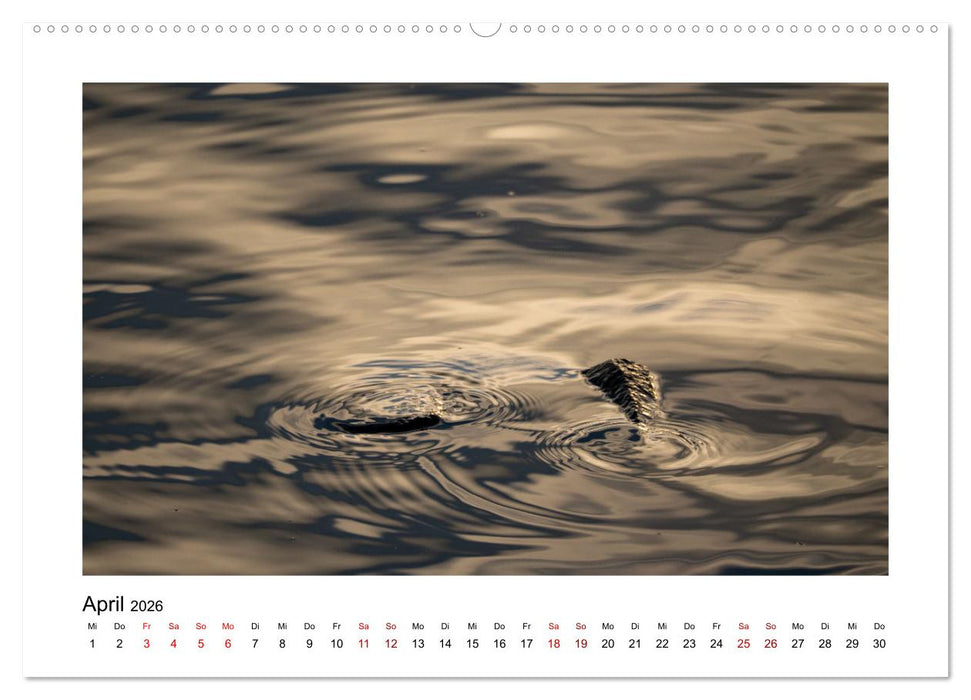 Wasserzauber (CALVENDO Wandkalender 2026)