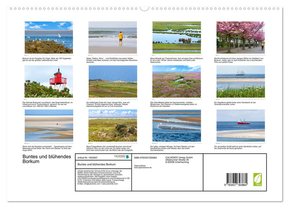 Buntes und blühendes Borkum (CALVENDO Premium Wandkalender 2026)