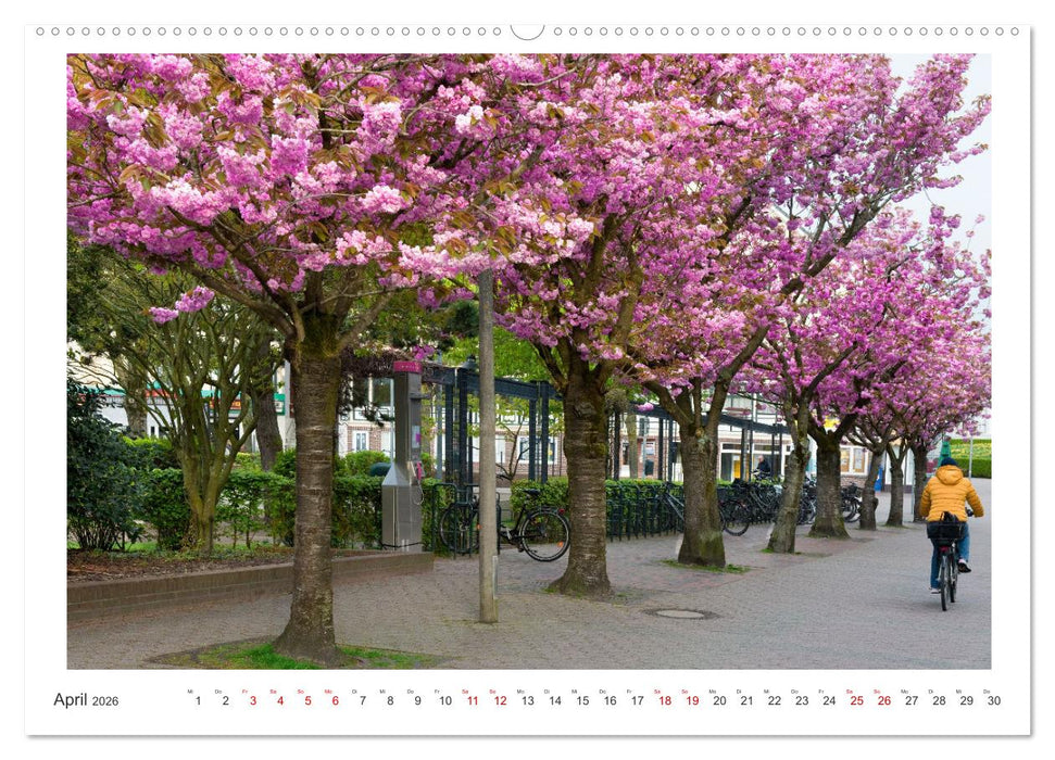Buntes und blühendes Borkum (CALVENDO Premium Wandkalender 2026)