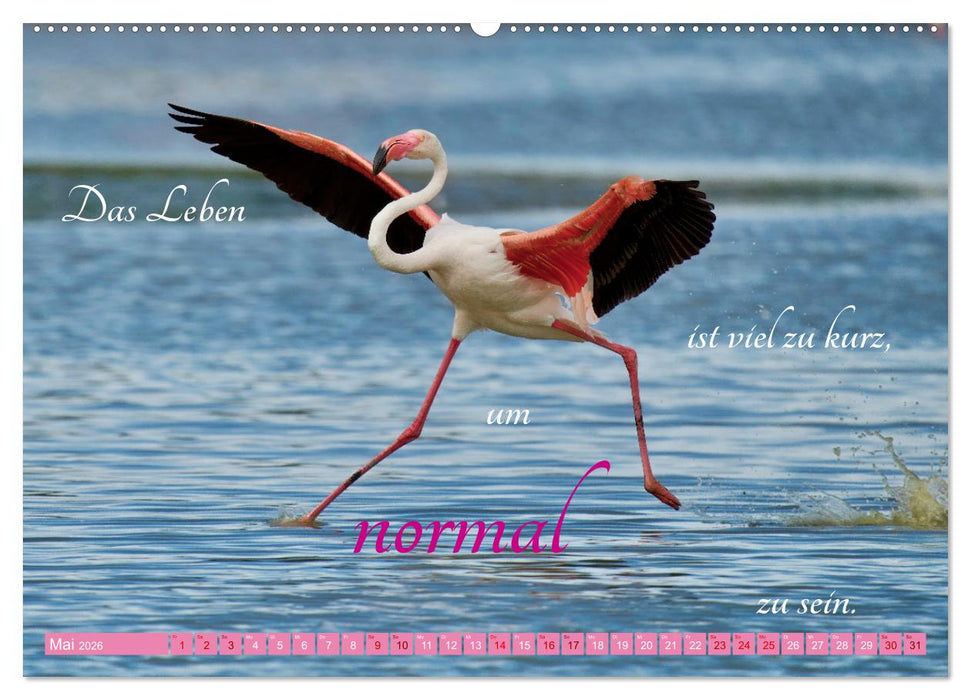 The Power Of Pink (CALVENDO Premium Wandkalender 2026)