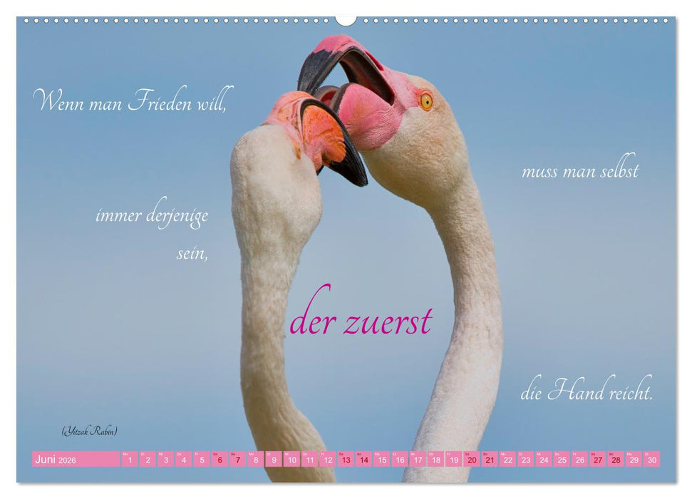 The Power Of Pink (CALVENDO Premium Wandkalender 2026)