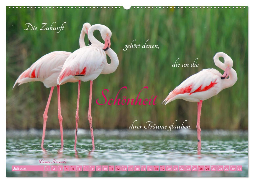 The Power Of Pink (CALVENDO Premium Wandkalender 2026)