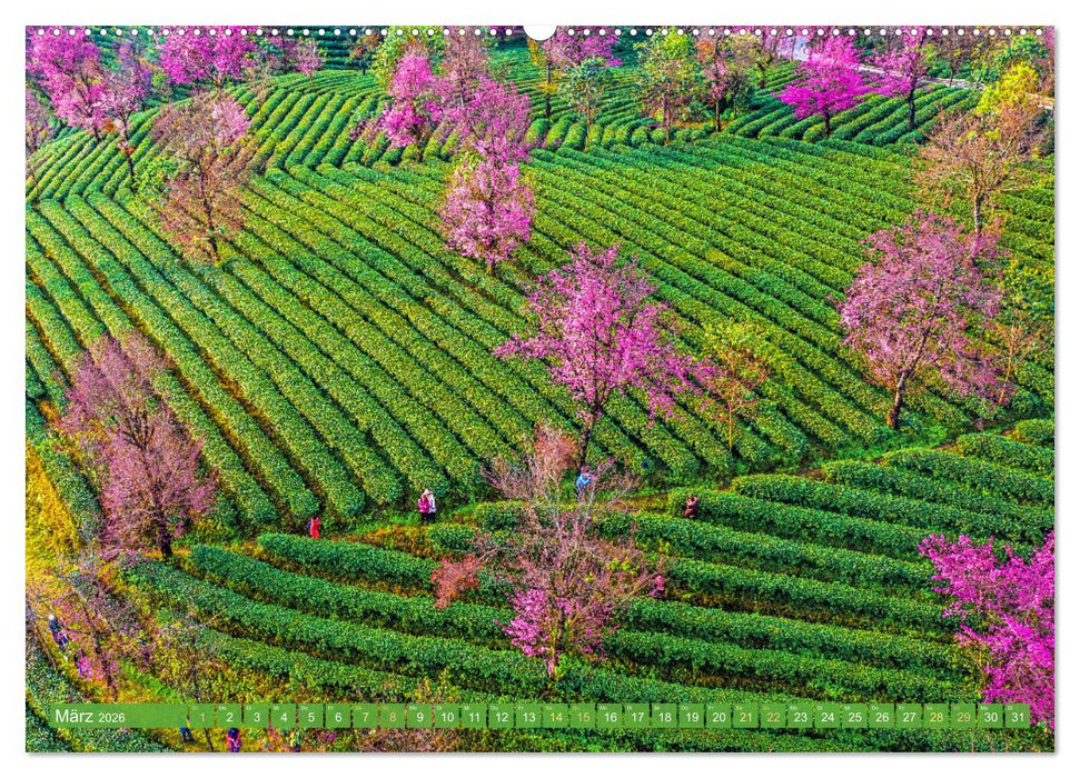 Einzigartige Naturkostbarkeiten aus Asien (CALVENDO Premium Wandkalender 2026)