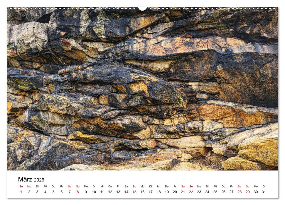 Steinerne Zeitzeugen (CALVENDO Premium Wandkalender 2026)