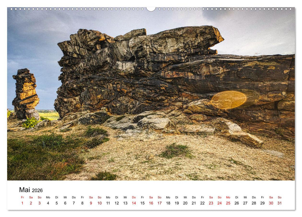 Steinerne Zeitzeugen (CALVENDO Premium Wandkalender 2026)