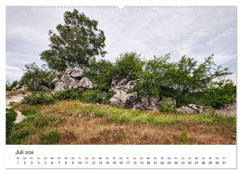 Steinerne Zeitzeugen (CALVENDO Premium Wandkalender 2026)