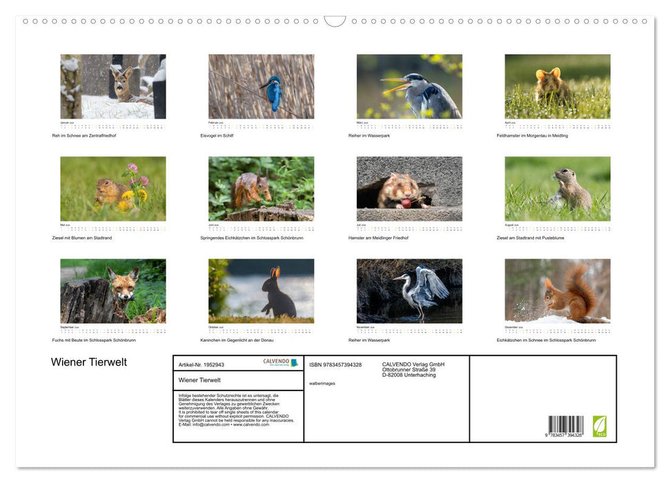 Wiener Tierwelt (CALVENDO Wandkalender 2026)