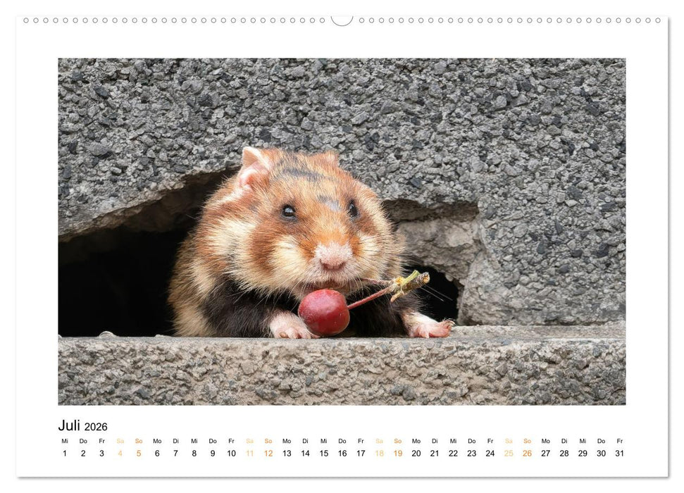 Wiener Tierwelt (CALVENDO Premium Wandkalender 2026)