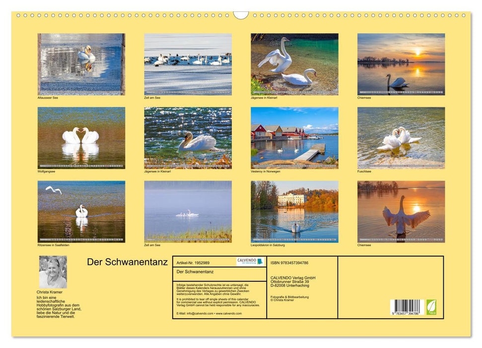 Der Schwanentanz (CALVENDO Wandkalender 2026)