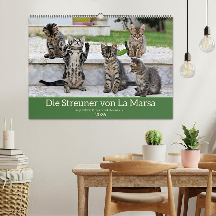 Die Streuner von La Marsa (CALVENDO Wandkalender 2026)