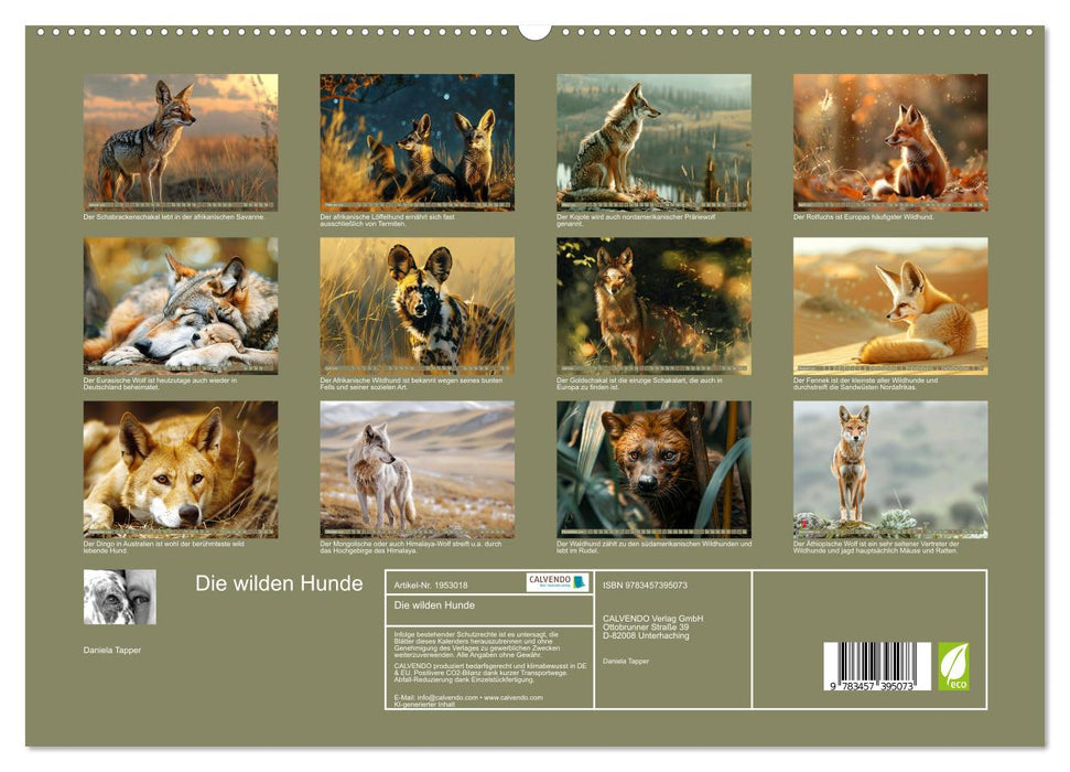 Die wilden Hunde (CALVENDO Premium Wandkalender 2026)