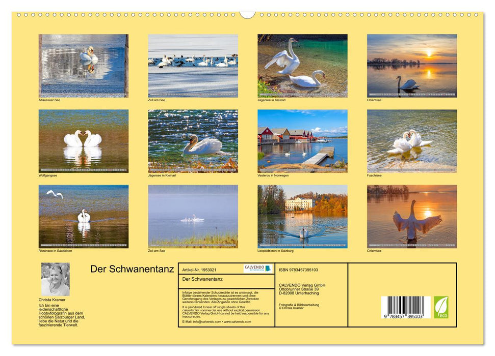 Der Schwanentanz (CALVENDO Premium Wandkalender 2026)