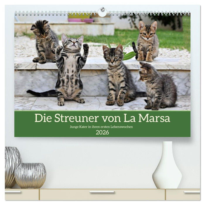 Die Streuner von La Marsa (CALVENDO Premium Wandkalender 2026)