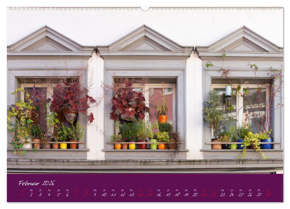 Fenster & Fassade (CALVENDO Wandkalender 2026)