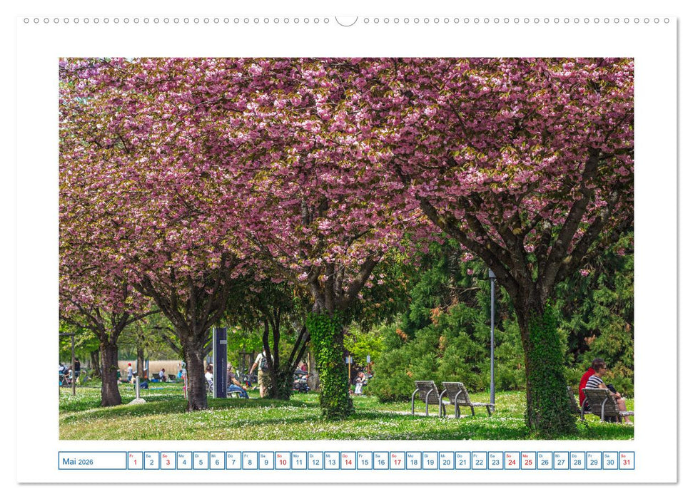 Bodman - schöner kleiner Ort direkt am Bodensee (CALVENDO Wandkalender 2026)